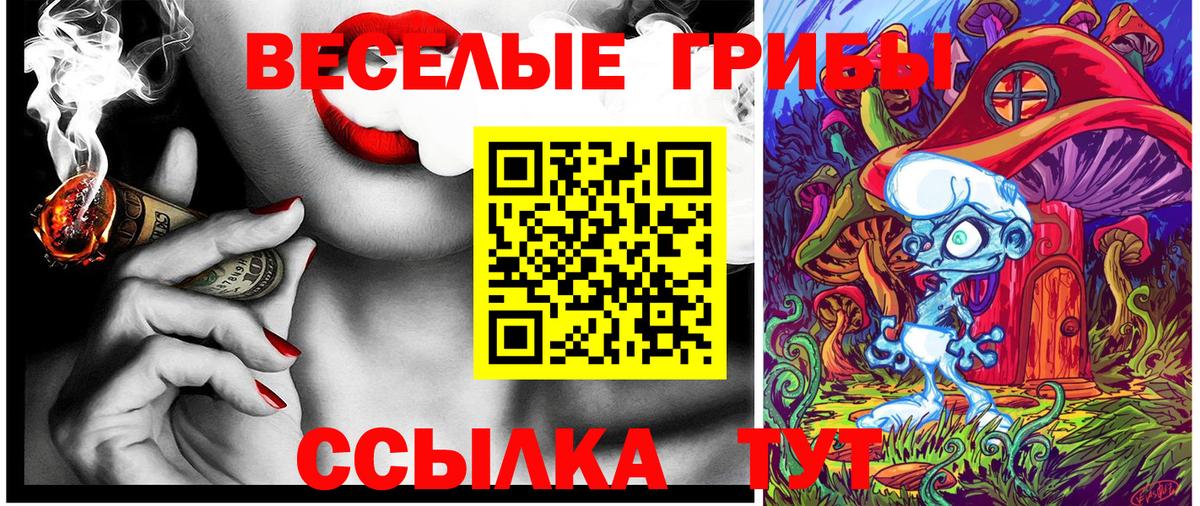 Дубна  Галлюциногенные грибы Magic Shrooms  купить наркотики цена  Вход с VPN  Галлюциногенные грибы ЛСД 