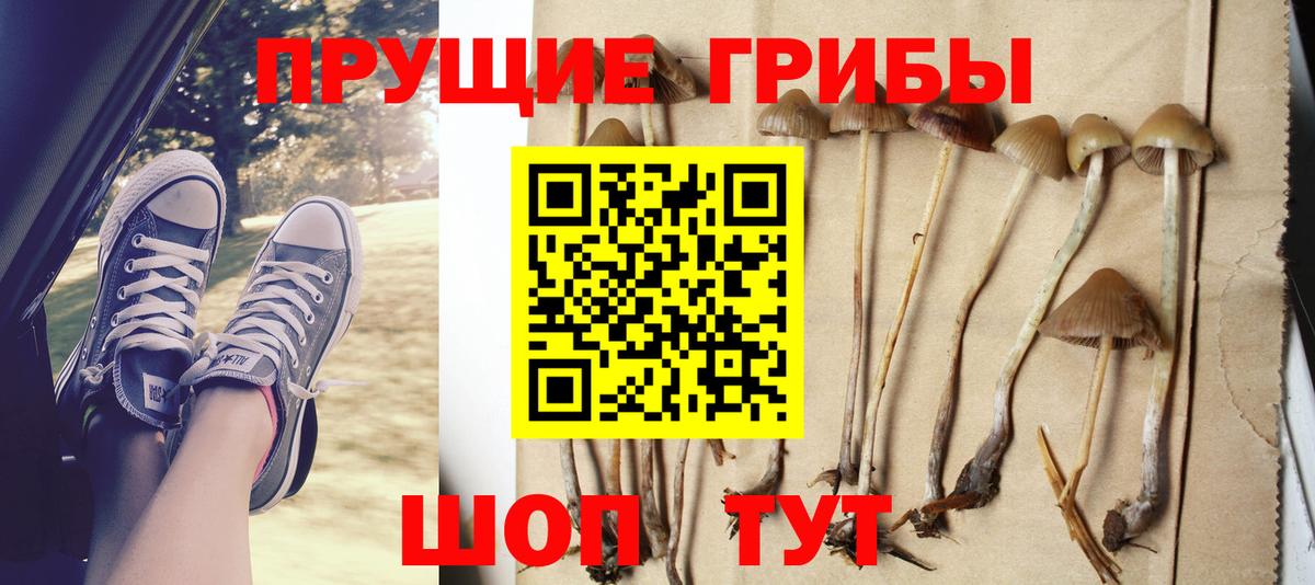 Галлюциногенные грибы Cubensis Дубна